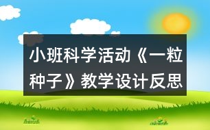 小班科學(xué)活動(dòng)《一粒種子》教學(xué)設(shè)計(jì)反思