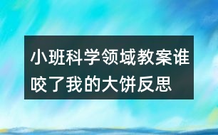 小班科學領(lǐng)域教案誰咬了我的大餅反思