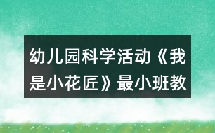 幼兒園科學(xué)活動《我是小花匠》最小班教案