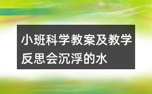 小班科學(xué)教案及教學(xué)反思——會(huì)沉浮的水果