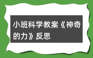 小班科學教案《神奇的力》反思