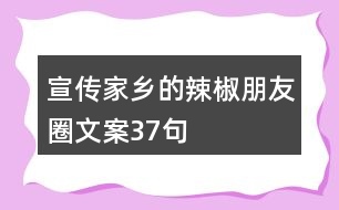 宣傳家鄉(xiāng)的辣椒朋友圈文案37句