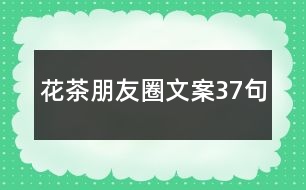 花茶朋友圈文案37句