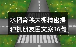 水稻育秧大棚精密播種機朋友圈文案36句