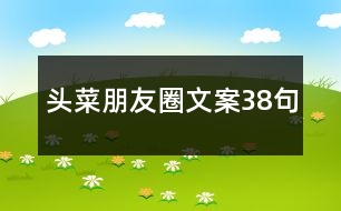 頭菜朋友圈文案38句