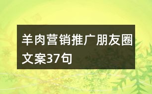 羊肉營銷推廣朋友圈文案37句