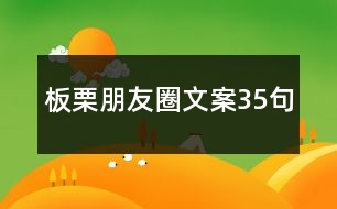 板栗朋友圈文案35句