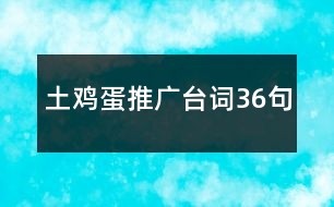 土雞蛋推廣臺詞36句