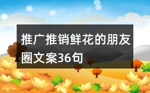 推廣推銷鮮花的朋友圈文案36句