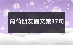 葡萄朋友圈文案37句