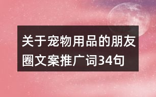 關(guān)于寵物用品的朋友圈文案、推廣詞34句