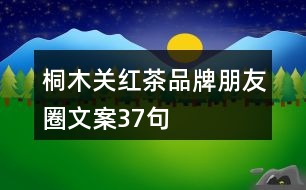 桐木關(guān)紅茶品牌朋友圈文案37句