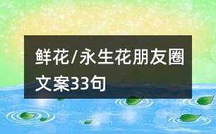 鮮花/永生花朋友圈文案33句