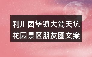 利川團堡鎮(zhèn)大甕天坑花園景區(qū)朋友圈文案出爐35句