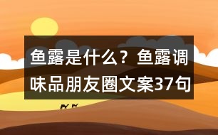 魚(yú)露是什么？魚(yú)露調(diào)味品朋友圈文案37句