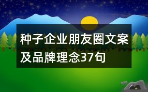 種子企業(yè)朋友圈文案及品牌理念37句