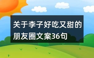 關于李子好吃又甜的朋友圈文案36句