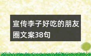 宣傳李子好吃的朋友圈文案38句