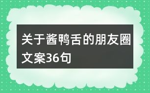 關(guān)于醬鴨舌的朋友圈文案36句