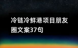 冷鏈冷鮮港項目朋友圈文案37句