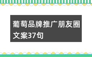 葡萄品牌推廣朋友圈文案37句