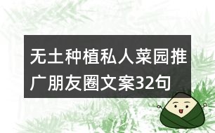 無(wú)土種植私人菜園推廣朋友圈文案32句