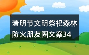 清明節(jié)文明祭祀、森林防火朋友圈文案34句