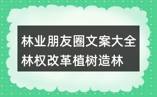 林業(yè)朋友圈文案大全：林權改革、植樹造林朋友圈文案36句