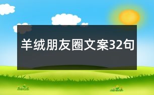 羊絨朋友圈文案32句