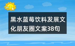 黑水藍(lán)莓飲料發(fā)展文化朋友圈文案38句