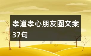 孝道、孝心朋友圈文案37句