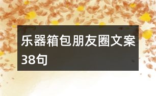 樂器箱包朋友圈文案38句