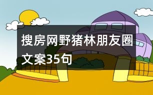 搜房網野豬林朋友圈文案35句