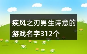 疾風(fēng)之刃男生詩意的游戲名字312個(gè)