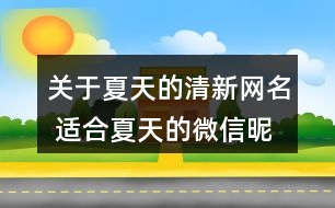 關于夏天的清新網名 適合夏天的微信昵稱323個