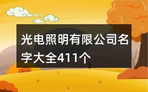 光電照明有限公司名字大全411個