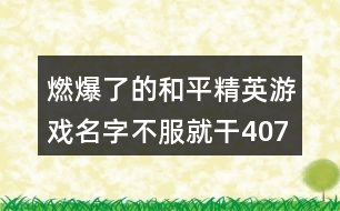 燃爆了的和平精英游戲名字不服就干407個