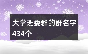 大學(xué)班委群的群名字434個