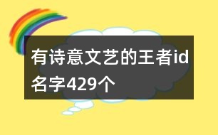 有詩意文藝的王者id名字429個(gè)