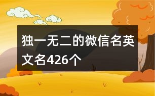 獨(dú)一無(wú)二的微信名英文名426個(gè)