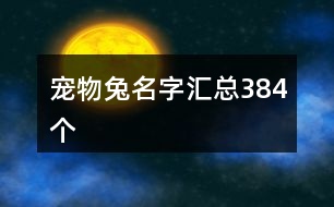 寵物兔名字匯總384個