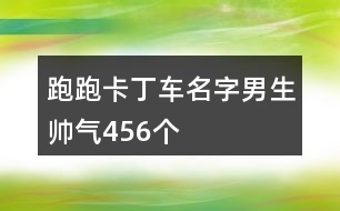 跑跑卡丁車名字男生帥氣456個