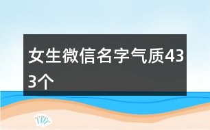 女生微信名字氣質433個