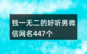 獨(dú)一無二的好聽男微信網(wǎng)名447個