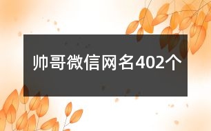 帥哥微信網(wǎng)名402個