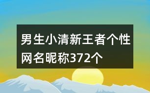 男生小清新王者個(gè)性網(wǎng)名昵稱372個(gè)