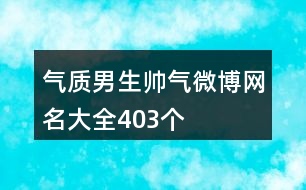 氣質男生帥氣微博網名大全403個