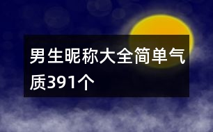 男生昵稱大全簡單氣質391個