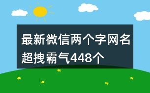 最新微信兩個字網(wǎng)名超拽霸氣448個