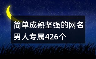 簡單成熟堅強(qiáng)的網(wǎng)名男人專屬426個